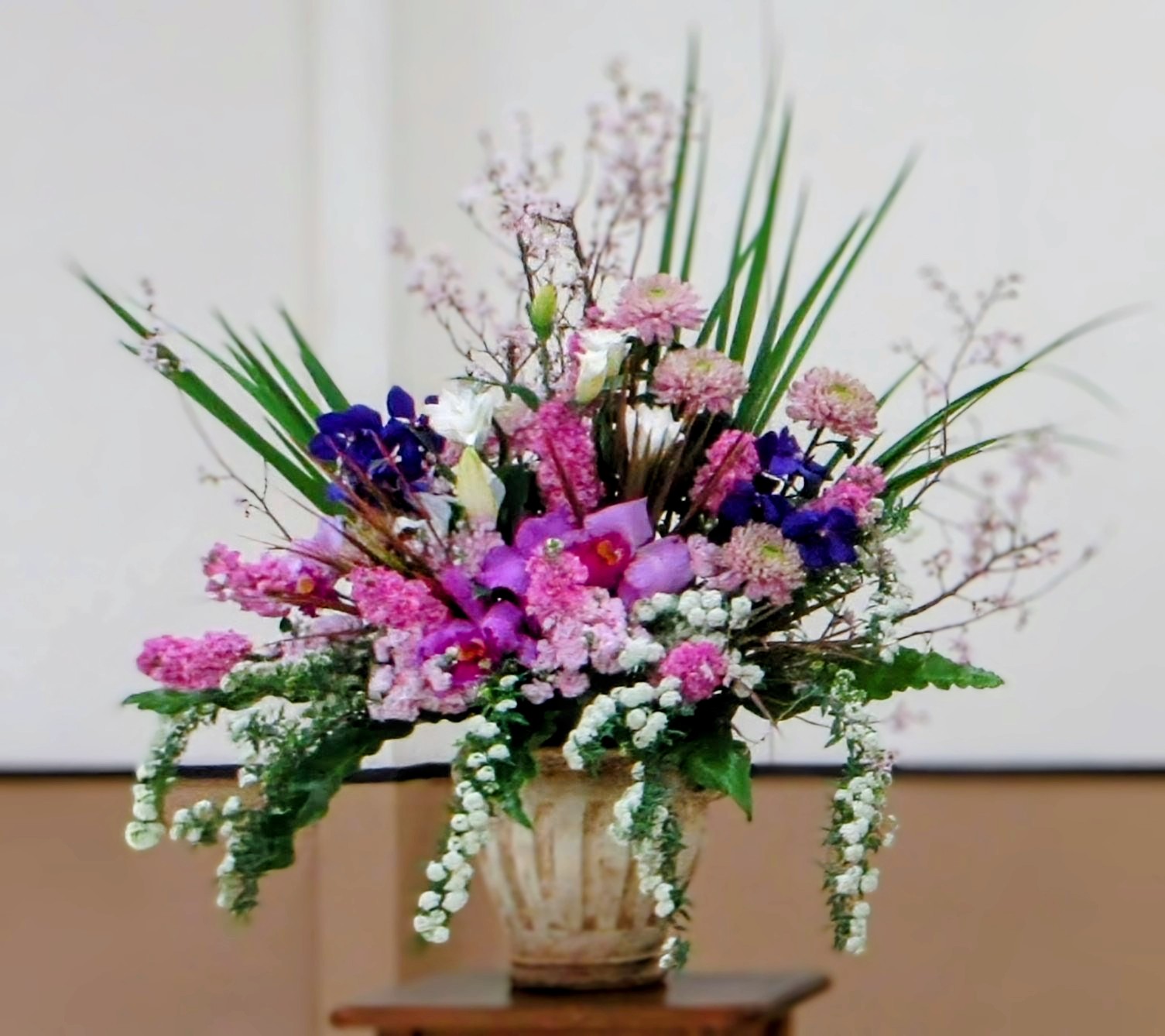 創立10周年を迎えました